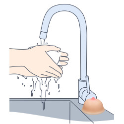 S-Line Savon Forme de sein Titty Soap